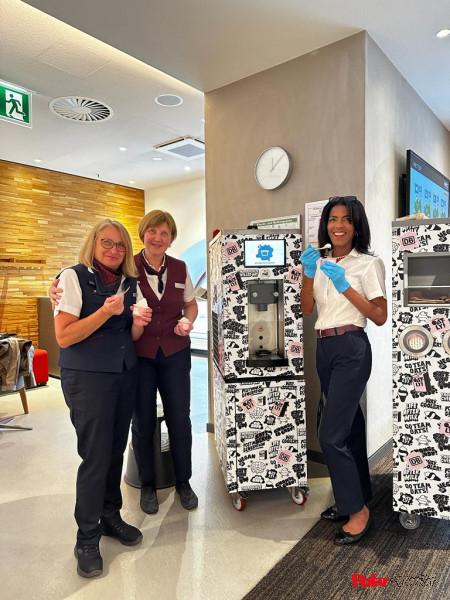 Softeis Fertigmix Vegan