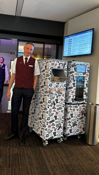 Softeis Fertigmix Vegan