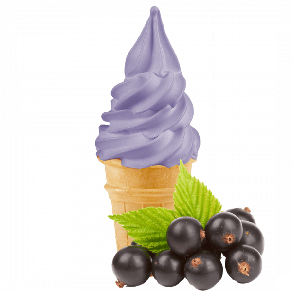 schwarze Johannisbeere